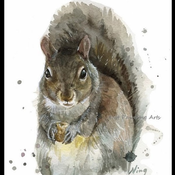 20% OFF Gray Squirrel,wild animal,water color - Art Print