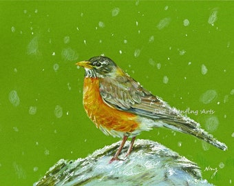 20% OFF American Robin,wild animal,Birds,colored pencil - Art Print