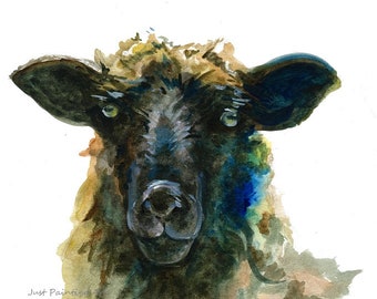 20% OFF Black face sheep,Watercolor,Animal- Art Print 11x14