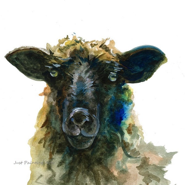 Black Face Sheep - Etsy