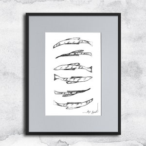 Graphic work No. 27 - fish, fish illustration, black and white art, marine poster, Minimalist Wall Art, original ink drawing, marine art