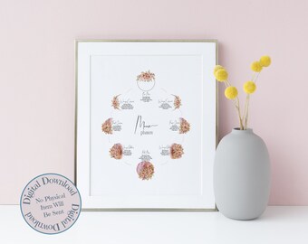 Floral Moon Phases and Meanings With a White Background - Digital Printable Download