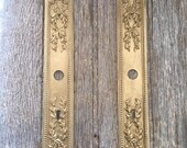 Fabulous pair of old French bronze finger plates - (pair of) door decoration architectural salvage