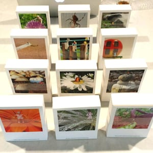 May include: A collection of small white boxes with colourful images on the front. The images include a spider, a daisy, a mushroom, a ladybug, a house, a fence, a beach, and a forest.