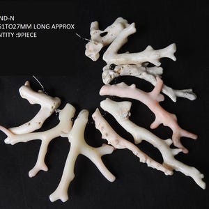 Op de afbeelding: Een verzameling van negen koraalstukken in verschillende tinten wit en roze, geplaatst op een zwarte achtergrond. De koraalstukken zijn ongeveer 2,7 tot 6,1 cm lang. De tekst "STRAND-N SIZE:61TO27MM LONG APPROX QUANTITY :9PIECE" is zichtbaar.