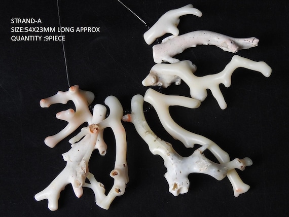 Natural White Coral Sticks Polished Branch Beads Loose Gemstone Spacer Top Drilled Points for Jewelry Making Wholesale Supply
