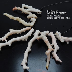 Op de afbeelding: Een verzameling van negen koraaltakstukken, elk met een unieke, vertakte structuur. Het koraal is voornamelijk gebroken wit met subtiele roze tinten. De tekst "STRAND-D WEIGHT: 23 GRAMS QTY: 9 PIECES SIZE: 64X4 TO 36X4 MM" is zichtbaar.