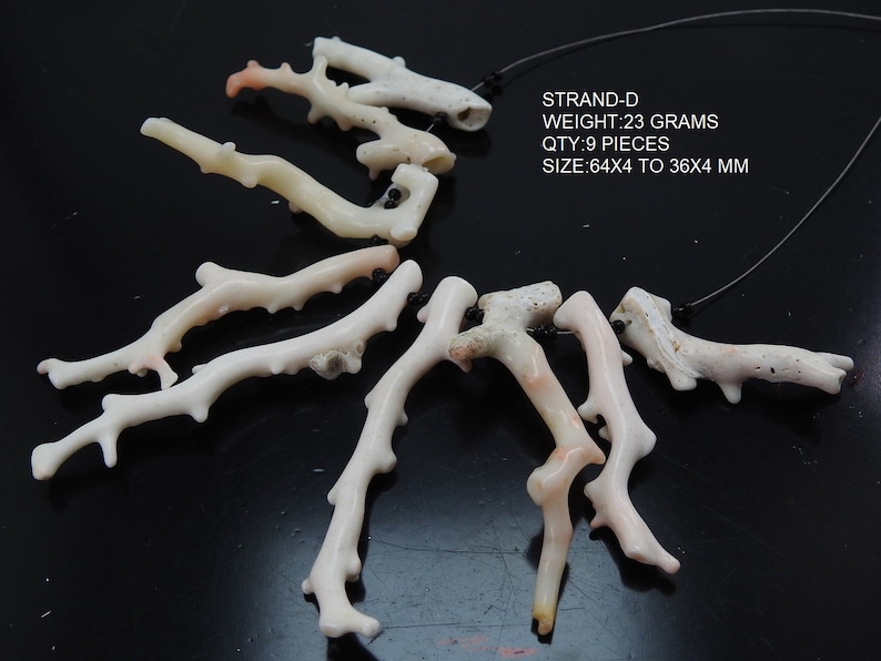 Op de afbeelding: Een verzameling van negen koraaltakstukken, elk met een unieke, vertakte structuur. Het koraal is voornamelijk gebroken wit met subtiele roze tinten. De tekst "STRAND-D WEIGHT: 23 GRAMS QTY: 9 PIECES SIZE: 64X4 TO 36X4 MM" is zichtbaar.