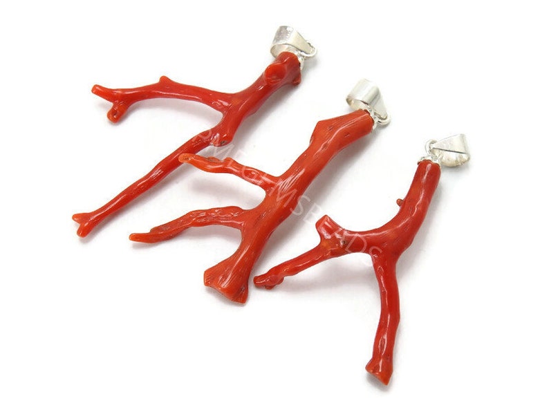 K&ouml;nnte beinhalten: Drei rote Korallenast-Anh&auml;nger mit silbernen &Ouml;sen. Die Korallen&auml;ste sind nat&uuml;rlich und haben verschiedene Formen und Gr&ouml;&szlig;en.