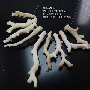Op de afbeelding: Een verzameling van negen off-white koraalstukken, elk met een unieke takachtige structuur. De tekst in de afbeelding luidt "STRAND-F", "WEIGHT: 24 GRAMS", "QTY: 9 PIECES", en "SIZE: 65x5 to 33x5 MM". De koralen liggen op een donkere achtergrond.