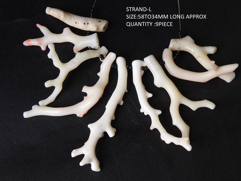Op de afbeelding: Een verzameling van negen koraalstukken, elk met een unieke takachtige structuur. Het koraal is voornamelijk wit met subtiele roze tinten. De tekst in de afbeelding luidt: STRAND-L SIZE:58TO34MM LONG APPROX QUANTITY :9PIECE.