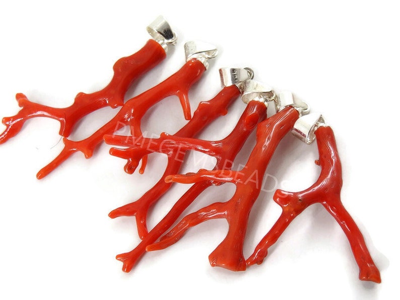 K&ouml;nnte beinhalten: F&uuml;nf rote Korallenast-Anh&auml;nger mit silbernen Sprungringen. Die Korallen&auml;ste sind nat&uuml;rlich und haben verschiedene Formen und Gr&ouml;&szlig;en.