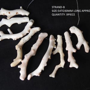 Op de afbeelding: Een verzameling van negen cr&egrave;mekleurige koraalstukken, elk ongeveer 5,4 cm tot 3 cm lang, op een donkere achtergrond. Het koraal heeft een textuur en een natuurlijke, vertakte vorm. De tekst in de afbeelding luidt: "STRAND-B SIZE: 54 TO 30MM LONG APPROX QUANTITY: 9 PIECE".