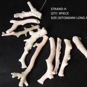 Op de afbeelding: Een verzameling van negen koraalstukken, vari&euml;rend van 3 tot 6,6 cm lang, tegen een zwarte achtergrond. Het koraal is voornamelijk gebroken wit met subtiele roze tinten. De tekst "STRAND-H QTY: 9 PIECE SIZE: 30 TO 66MM LONG APPROX" is zichtbaar.