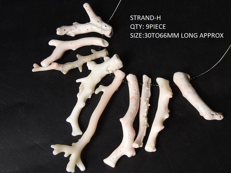 Op de afbeelding: Een verzameling van negen koraalstukken, vari&euml;rend van 3 tot 6,6 cm lang, tegen een zwarte achtergrond. Het koraal is voornamelijk gebroken wit met subtiele roze tinten. De tekst "STRAND-H QTY: 9 PIECE SIZE: 30 TO 66MM LONG APPROX" is zichtbaar.