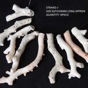 Op de afbeelding: Een verzameling van negen koraalstukken in verschillende tinten wit en roze, tegen een zwarte achtergrond. De koraalstukken vari&euml;ren in lengte van 2,4 cm tot 5,6 cm. De tekst "STRAND-J" en "QUANTITY: 9 PIECE" is zichtbaar.