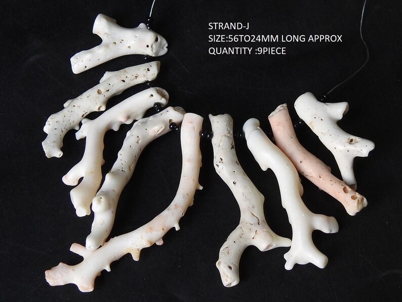 Op de afbeelding: Een verzameling van negen koraalstukken in verschillende tinten wit en roze, tegen een zwarte achtergrond. De koraalstukken vari&euml;ren in lengte van 2,4 cm tot 5,6 cm. De tekst "STRAND-J" en "QUANTITY: 9 PIECE" is zichtbaar.