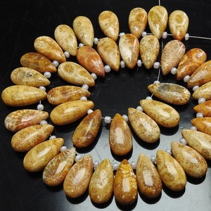 Może przedstawiać: Szereg koralików z fosylizowanego koralowca w kształcie łez, w odcieniach brązu i żółci. Koraliki mają naturalną, organiczną fakturę i są nawleczone na biały sznurek.