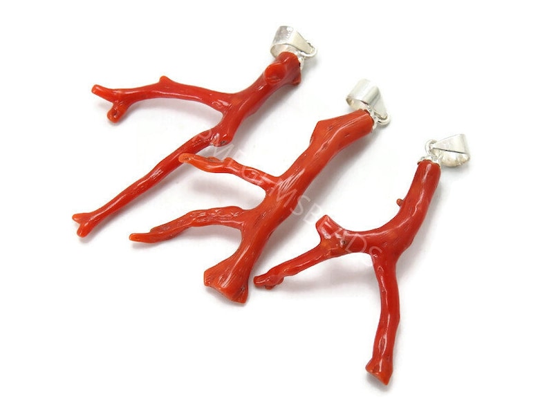 Close-up of raw-form glossy red Mediterranean coral branch jewelry pendants featuring metallic silver connectors, curated for professional jewelry designers and unique gift crafting.