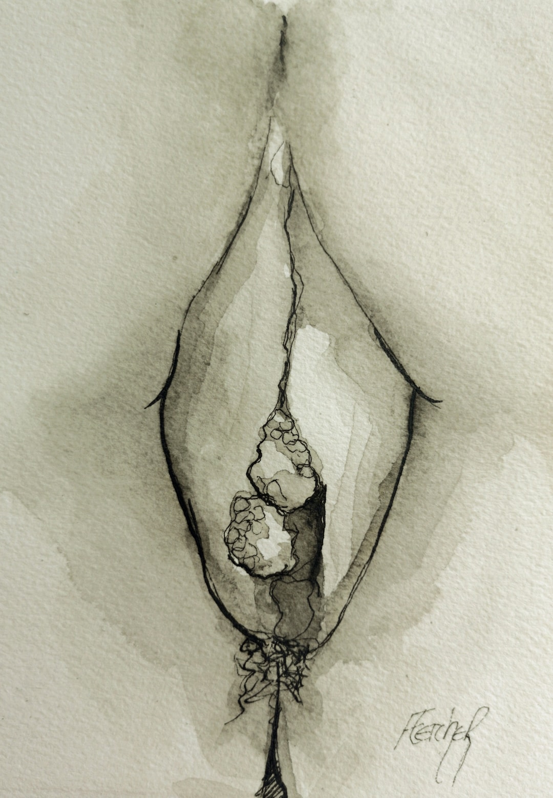 Vulva Drawing in Black and White. Vagina and Yoni Art Sketches and Drawings. - Etsy Japan