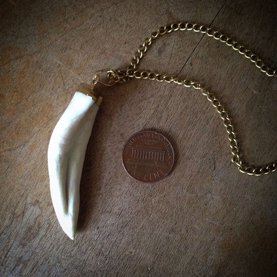 Real Unbleached Wolf Tooth Necklace 24K Gold Plated Cap Etsy