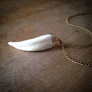 tooth necklace holder