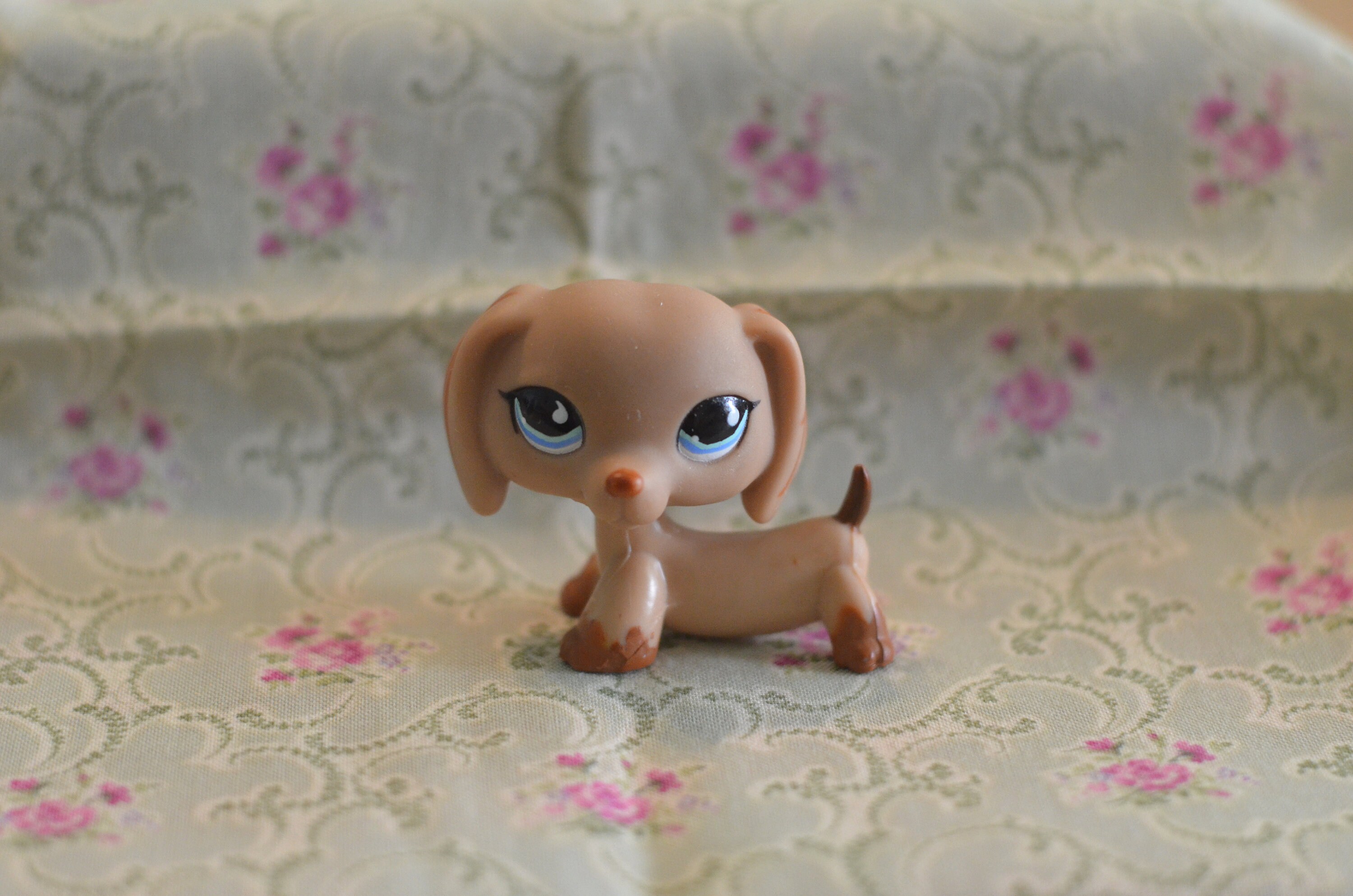 Wiener dog lps sale
