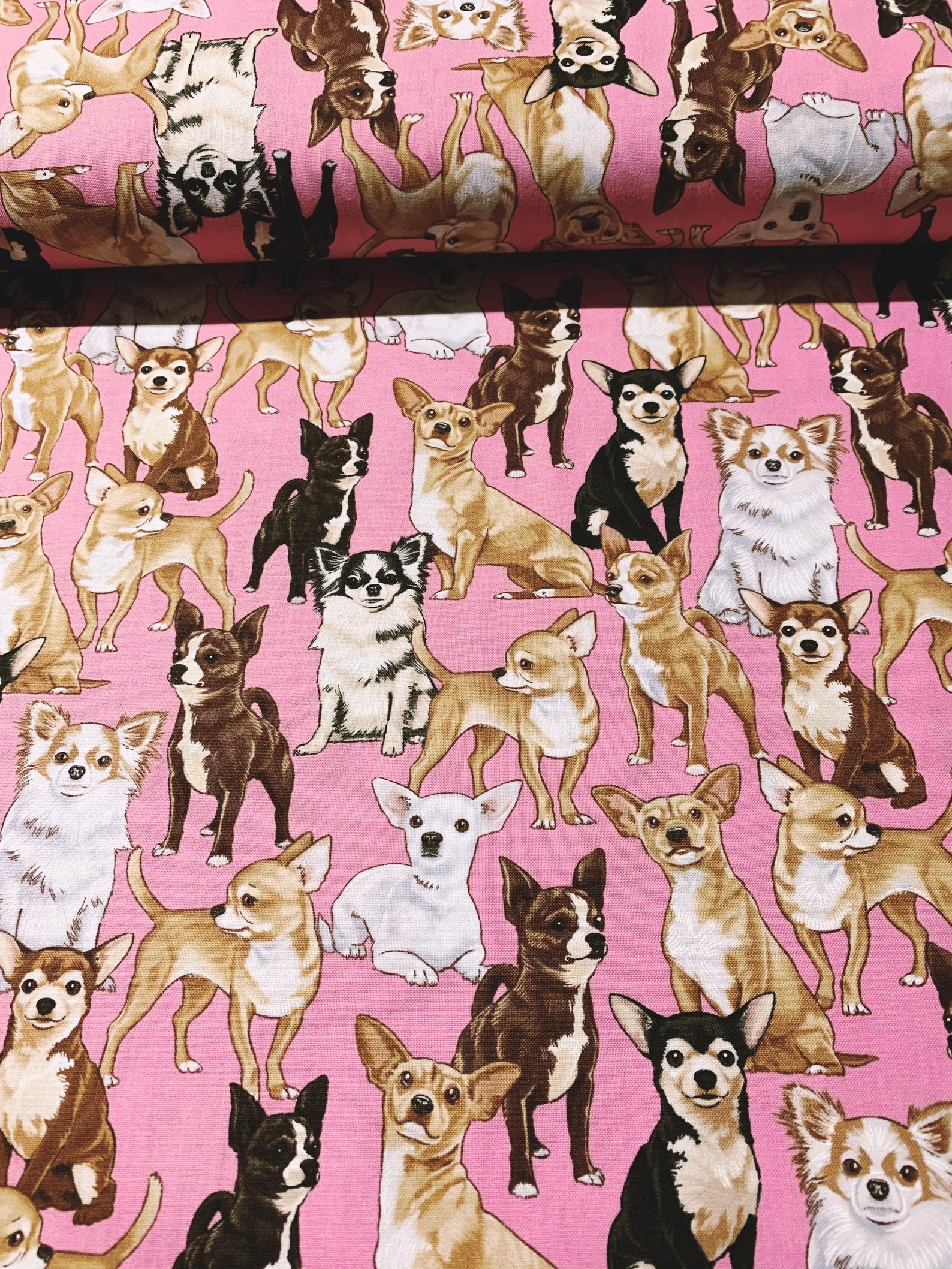 Adorable Chihuahua Dog Fabric....1/2 yard of a 44 Wide 100% | Etsy