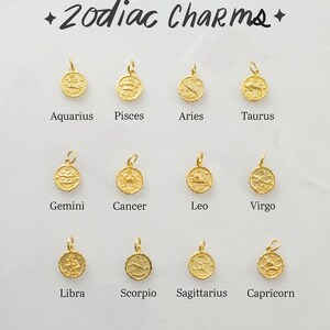 Zodiac Charm Bracelet, Water sign bracelet, Cancer Charm Bracelet, Scorpio Charm Bracelet, Pisces Charm Bracelet, Zodiac charm bracelet image 5