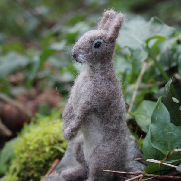 The Hoppit - Rabbit needle felting kit