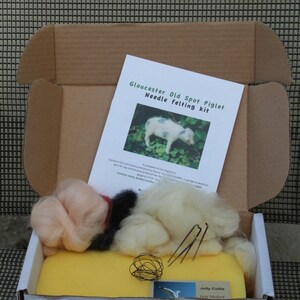 Gloucester Old Spot Piglet Pig Needle Felting Kit for Beginners image 5