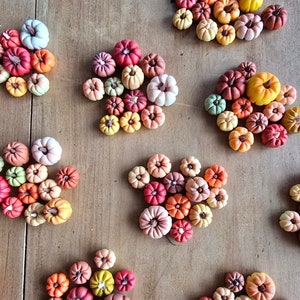 May include: A collection of small, colourful pumpkins in shades of red, orange, yellow, and green arranged on a wooden surface. The pumpkins vary in size and are clustered together, creating a fall-themed display.