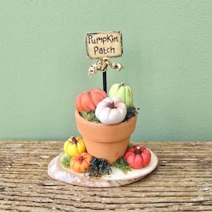 May include: A miniature pumpkin patch ornament. A terracotta pot is filled with small, colourful pumpkins. A sign reading "Pumpkin Patch" is displayed above the pumpkins. The pumpkins are in shades of orange, white, yellow, and red.