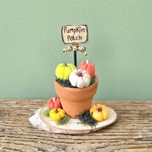 Pumpkin patch plant pot on a log slice. Autumn decoration. Halloween ornament. Polymer clay pumpkins. Woodland. Fall decor. Pumpkin garden