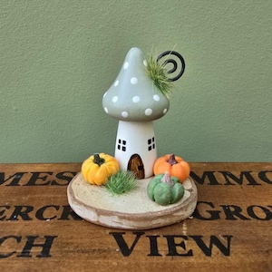 Toadstool house with pumpkins. Little mushroom fairy cottage. Miniature wood house. Housewarming gift. Whimsical, magical. Autumn decoration