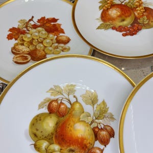 May include: A collection of white porcelain plates with gold rims. Each plate features a hand-painted design of various fruits, including grapes, apples, and pears. The plates are arranged to showcase the detailed artwork and elegant design.