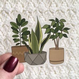 Adesivo de plantas de casa transparente - 3”