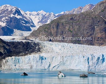 Glacier Bay National Park