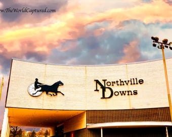 Northville Downs Top View