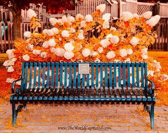 Autumn's Beautiful Details