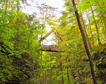 Hemlock Bridge Trail (Hocking Hills)