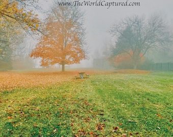 Crisp Morning Air (Michigan Fall Colors)
