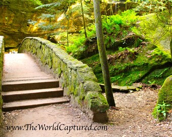 Entering The Trails (Hocking Hills)