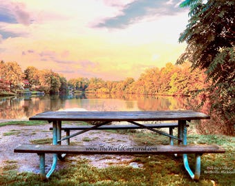 Rest By The Stream