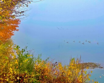 Flying Through The Fog (Michigan Fall Colors)