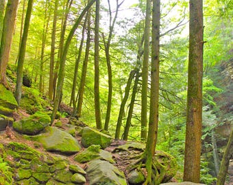 In Between The Falls (Hocking Hills)