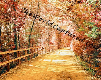 A Stroll On A Michigan Fall Day