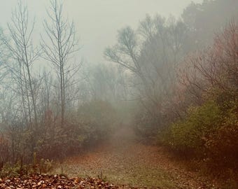 Fall Into The Fog (Michigan Fall Colors)