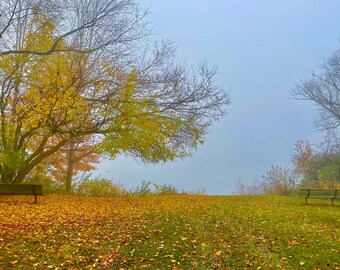 Sitting By The Lake (Michigan Fall Colors)