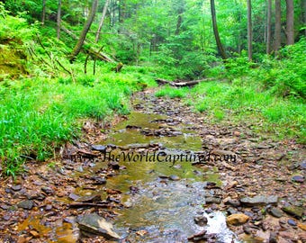 Follow Your Soul (Hocking Hills)